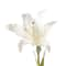 37&#x22; White Lily Stem by Ashland&#xAE;